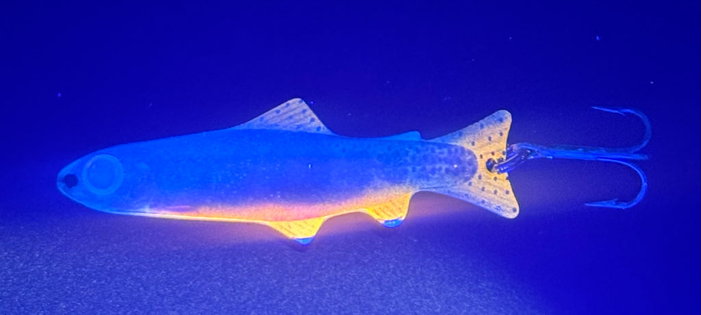Juvenile Golden Trout (Custom)