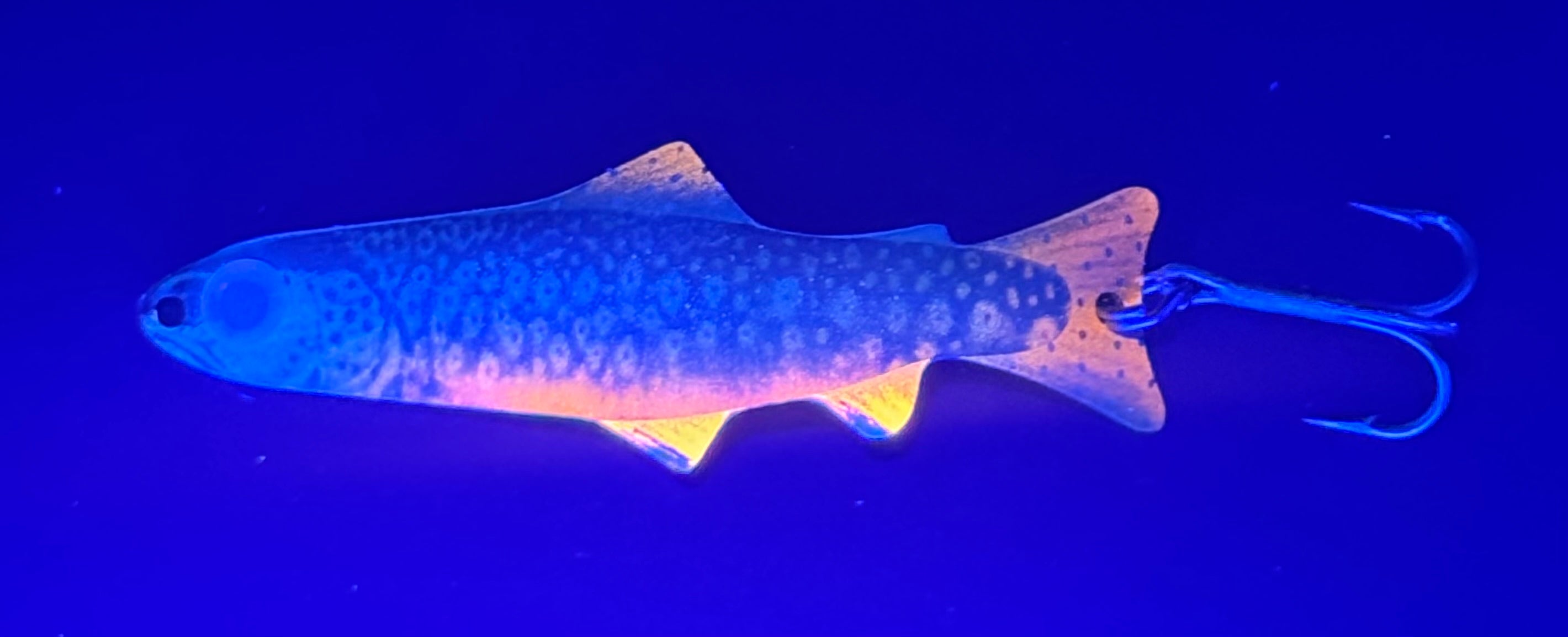 Juvenile Brook Trout (Custom)