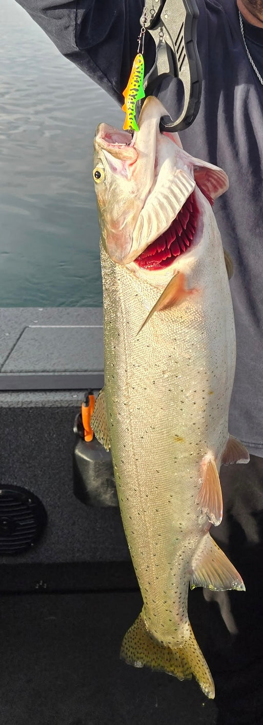 2.5” Juvi Spoon (Fire Tiger)
