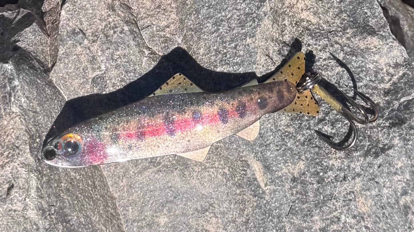 Juvenile Rainbow Trout (Custom)
