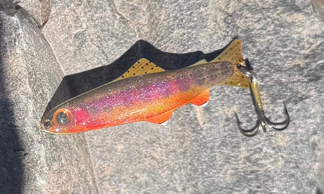 Juvenile Golden Trout (Custom)