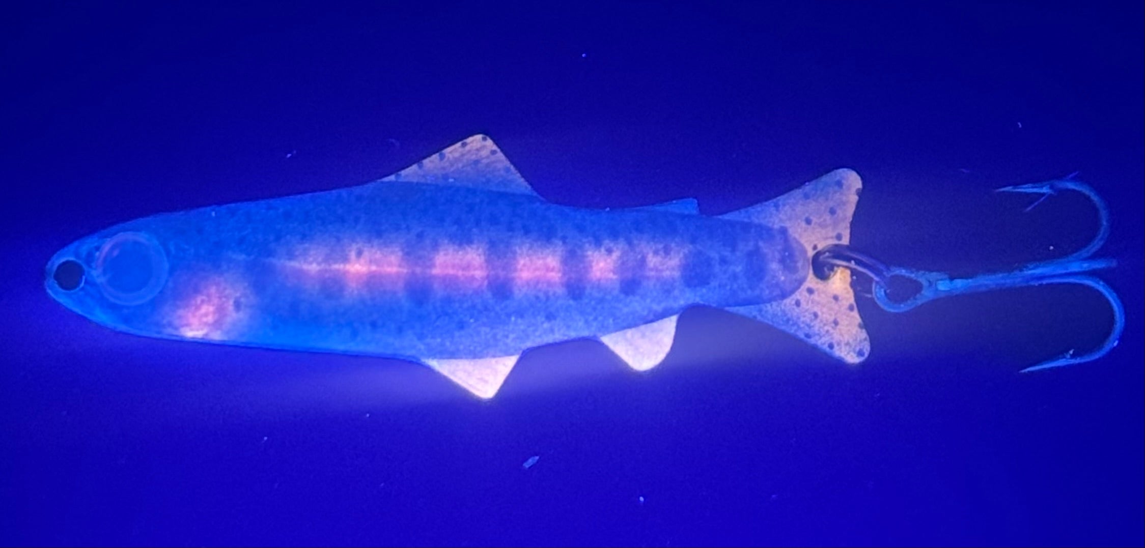 Juvenile Rainbow Trout (Custom)
