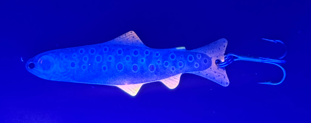 Juvenile Brown Trout (Custom)